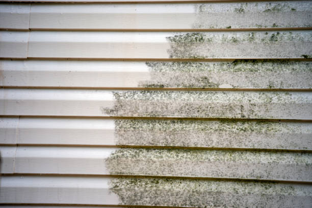 Best Dumpster Rental Services  in Donora, PA